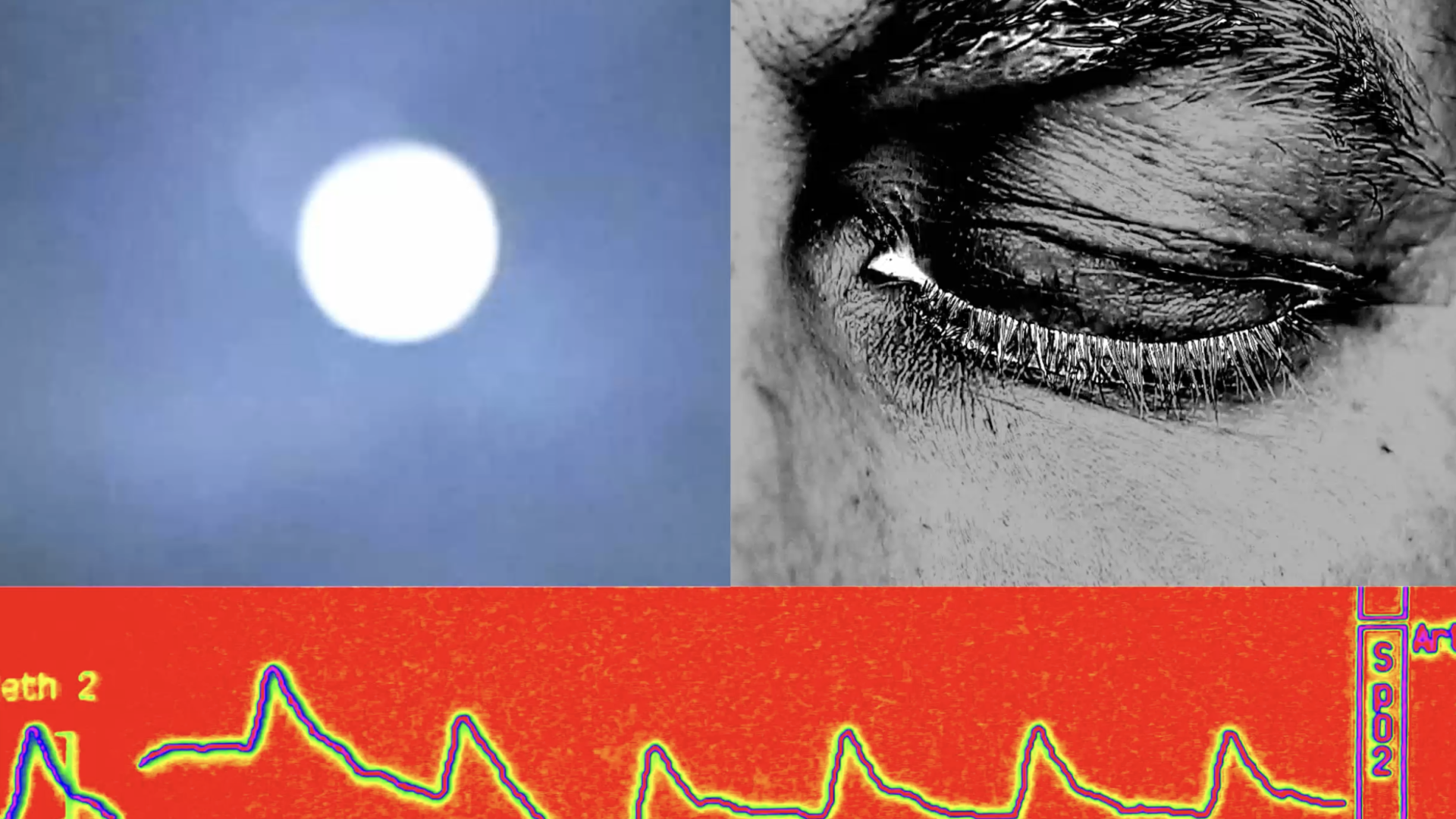 Tam Olarak Ne Kadar REM Uykusuna İhtiyacınız Var?