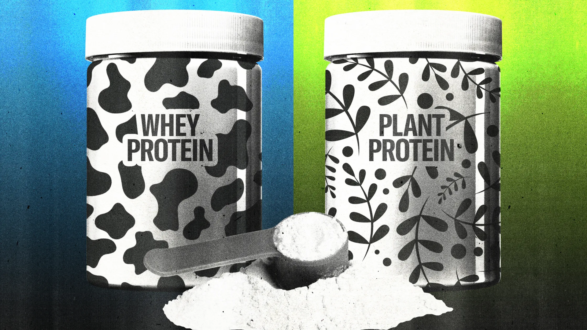 Hangi Protein Tozu En Az Kurşunu İçerir?