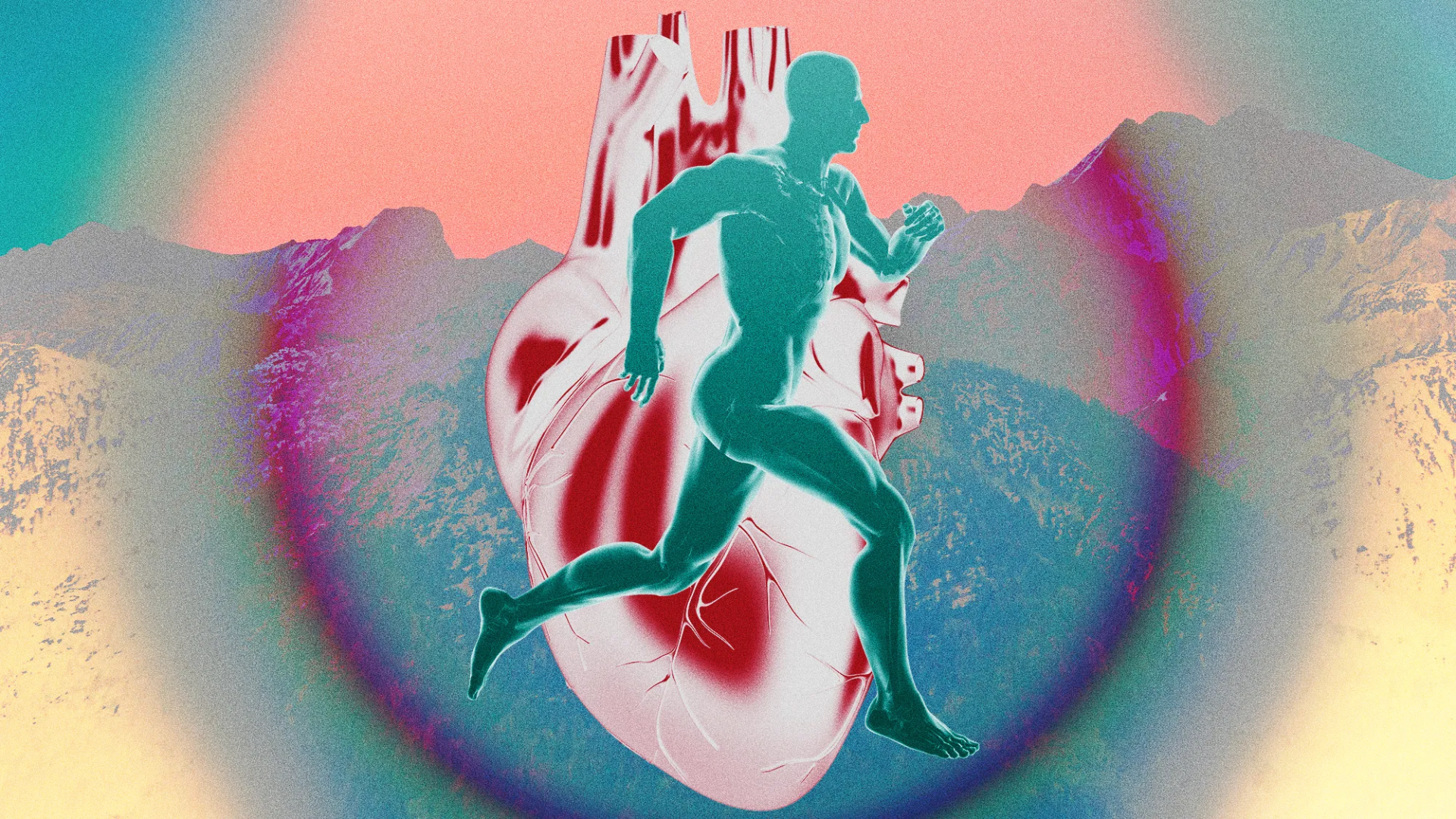 Zone 2 antrenmanı nedir