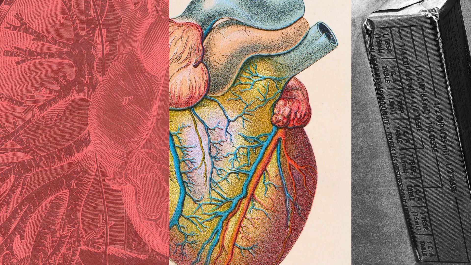 LDL Kolesterol Nedir ve Nasıl Düşürülür?