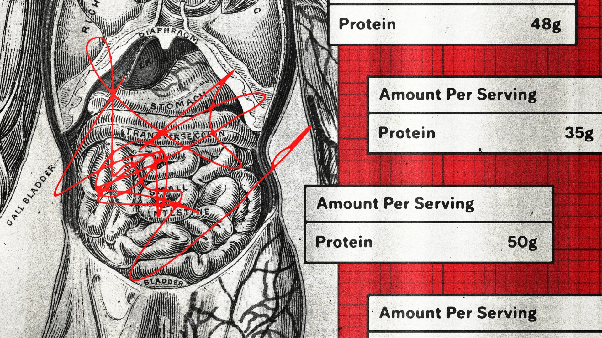 Proteinmaxxing Bağırsaklarıa Zarar Veriyor Mu?